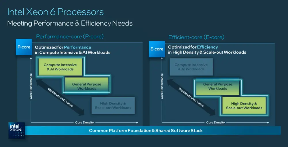 Intel Xeon 6 P-core vs. E-core